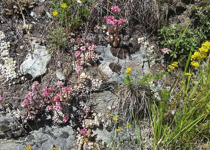 Nyaraló Bergmann Bürchen