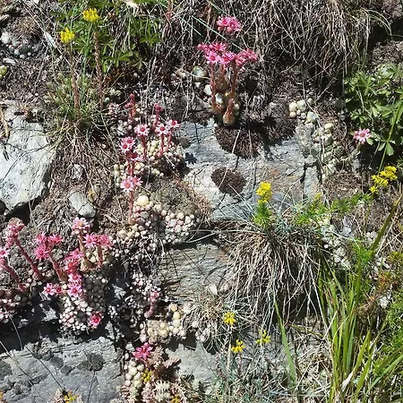 Ferienhaus Bergmann Bürchen