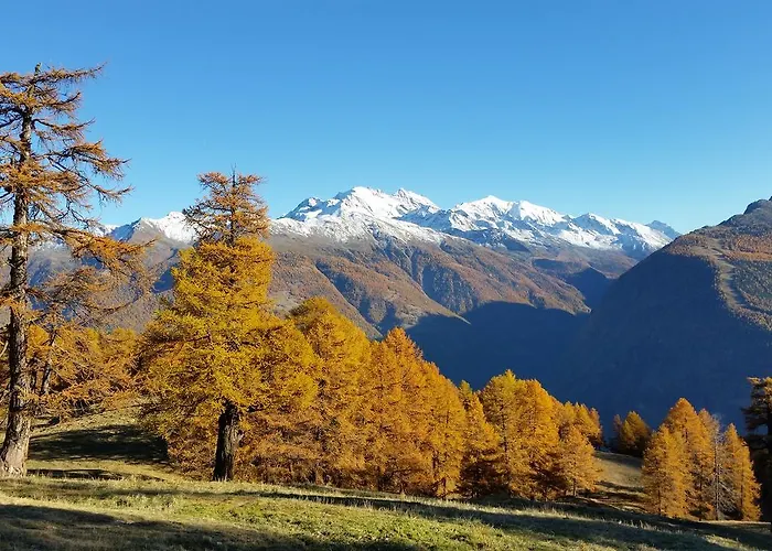 Bergmann Дом отдыха