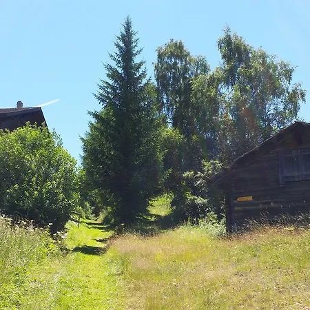 Bergmann Burchen