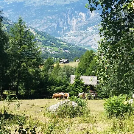 Bergmann *